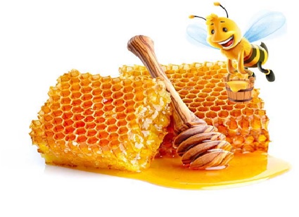 عسل در درمان بیماری های دستگاه گوارشی تاثیر بسزایی دارد.