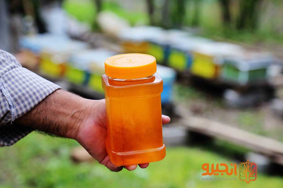 عسل شهدی طبیعی که توسط زنبورعسل تولید می شود